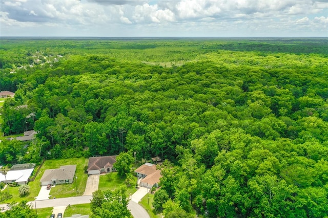 7 Zeolite Pl, Palm Coast, FL 32164 - bird's eye view of a heavily wooded area