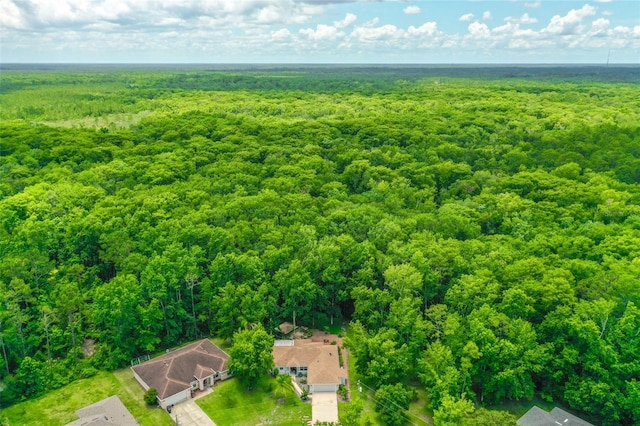 7 Zeolite Pl, Palm Coast, FL 32164 - aerial view of a forest