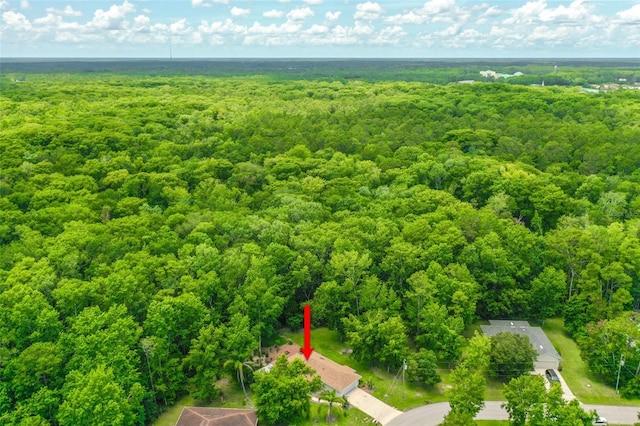 7 Zeolite Pl, Palm Coast, FL 32164 - bird's eye view of a heavily wooded area