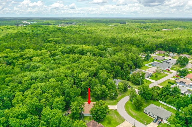 7 Zeolite Pl, Palm Coast, FL 32164 - drone / aerial view of a forest