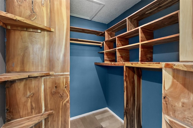 7 Zeolite Pl, Palm Coast, FL 32164 - walk in closet with wood finished floors and attic access