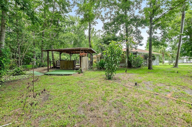 7 Zeolite Pl, Palm Coast, FL 32164 - view of grassy yard