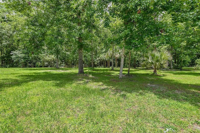 7 Zeolite Pl, Palm Coast, FL 32164 - view of grassy yard