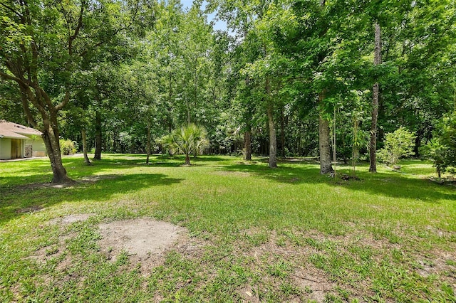 7 Zeolite Pl, Palm Coast, FL 32164 - view of grassy yard