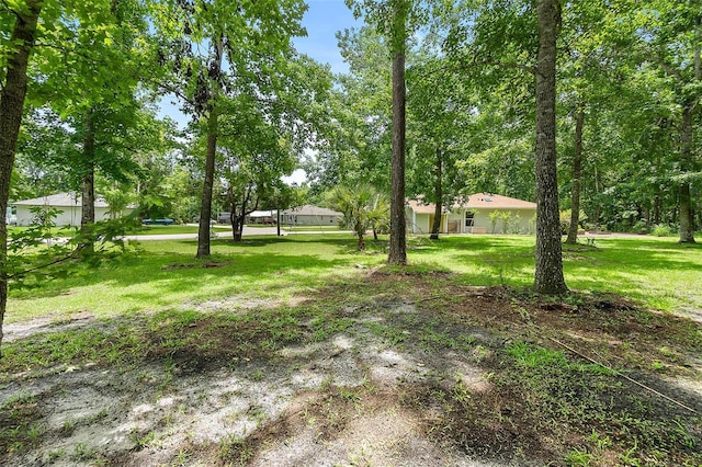 7 Zeolite Pl, Palm Coast, FL 32164 - view of grassy yard