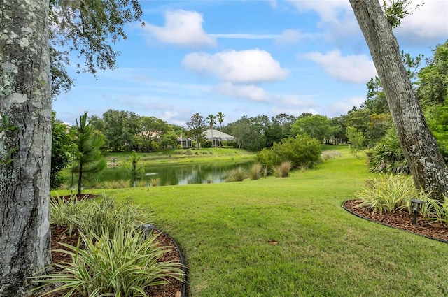 4 Midden Ln, Palm Coast, FL 32137 - view of grassy yard featuring a water view