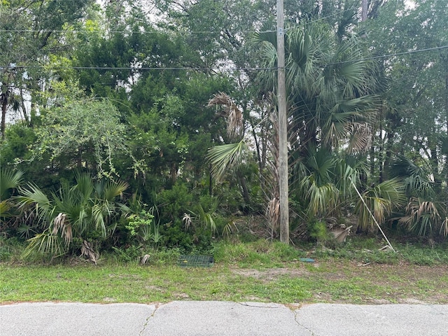 39 Poplar Dr, Palm Coast, FL 32164