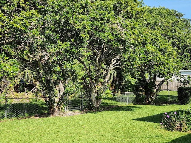 1810 Western Rd, South Daytona, FL 32119 - view of fenced backyard