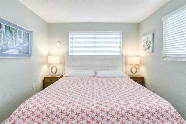 159 Southwind Cir, Saint Augustine, FL 32080 - bedroom with multiple windows