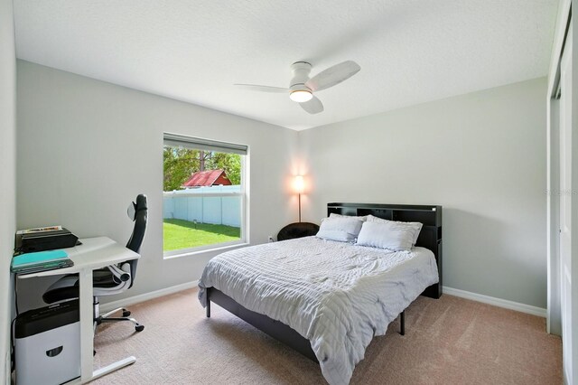 12 Buffalo Berry Pl, Palm Coast, FL 32137 - photo 29