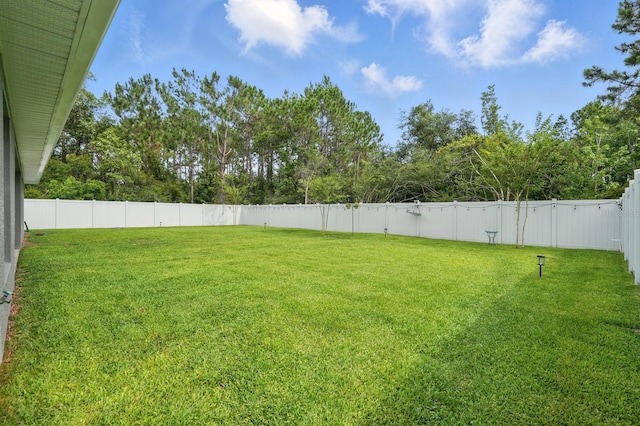 12 Buffalo Berry Pl, Palm Coast, FL 32137 - photo 35