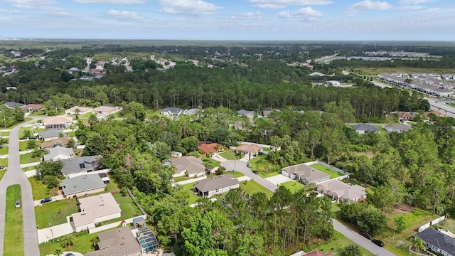12 Buffalo Berry Pl, Palm Coast, FL 32137 - photo 48
