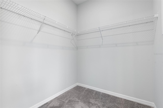 51 Oakleaf Way, Palm Coast, FL 32137 - walk in closet with carpet flooring