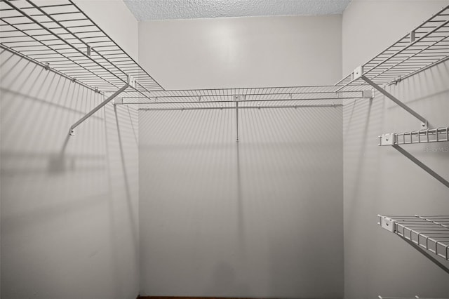 152 Fenimore Ln Unit A & B, Palm Coast, FL 32137 - view of walk in closet