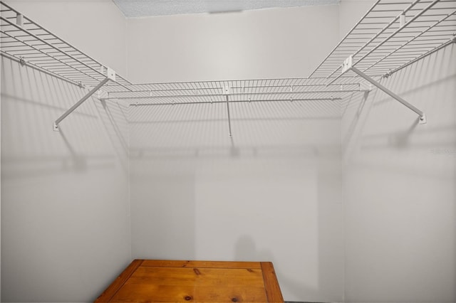 152 Fenimore Ln Unit A & B, Palm Coast, FL 32137 - view of spacious closet