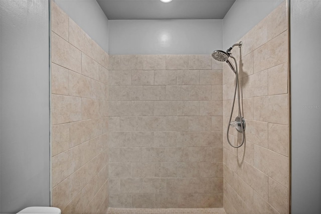 152 Fenimore Ln Unit A & B, Palm Coast, FL 32137 - full bath featuring a tile shower