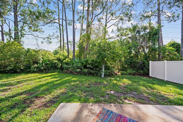 152 Fenimore Ln Unit A & B, Palm Coast, FL 32137 - view of yard