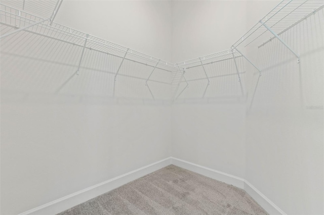 6 Bainbridge Ln, Palm Coast, FL 32137 - spacious closet with carpet flooring