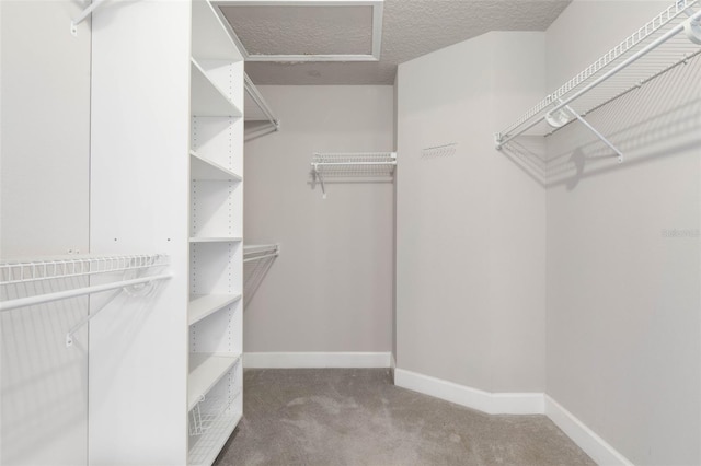 81 Brownstone Ln, Palm Coast, FL 32137 - spacious closet with carpet flooring