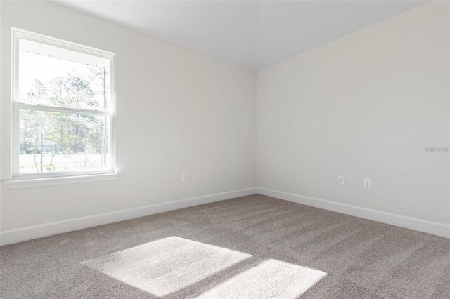 12 Wainshire Pl, Palm Coast, FL 32164 - spare room featuring carpet