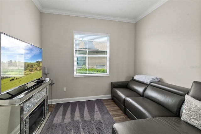 67 N Lakewalk Dr, Palm Coast, FL 32137 - living area featuring dark wood-style floors, crown molding, and a fireplace