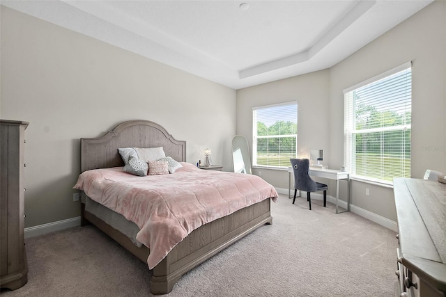 67 N Lakewalk Dr, Palm Coast, FL 32137 - bedroom with light colored carpet and a tray ceiling