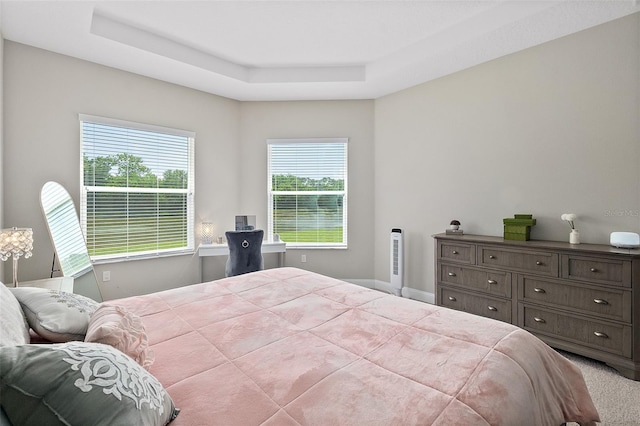 67 N Lakewalk Dr, Palm Coast, FL 32137 - bedroom featuring a tray ceiling