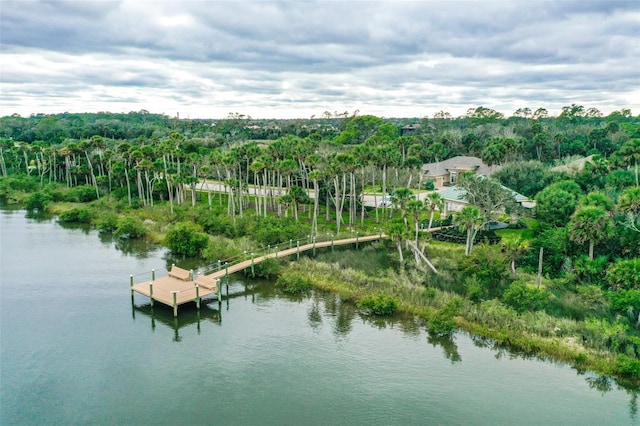 67 N Lakewalk Dr, Palm Coast, FL 32137 - aerial overview of property's location with a nearby body of water