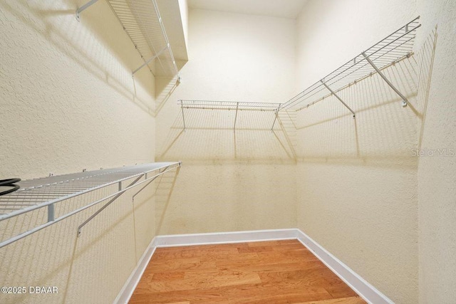 3132 Connemara Dr, Ormond Beach, FL 32174 - spacious closet with light wood-style flooring