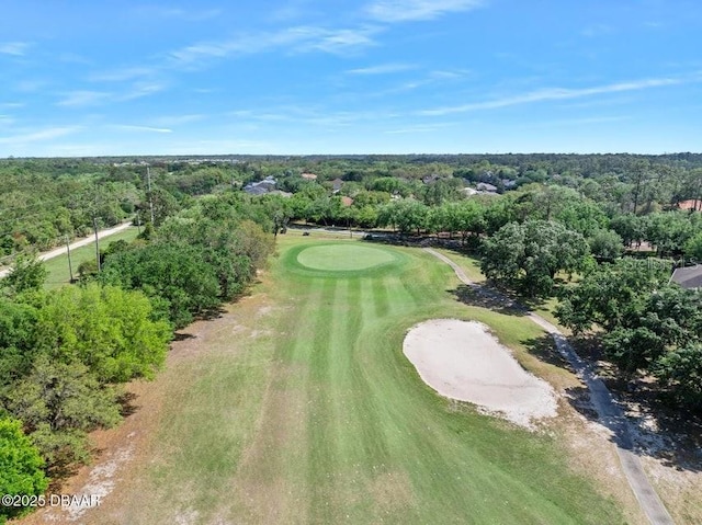 3132 Connemara Dr, Ormond Beach, FL 32174 - aerial view of a golf club and a heavily wooded area