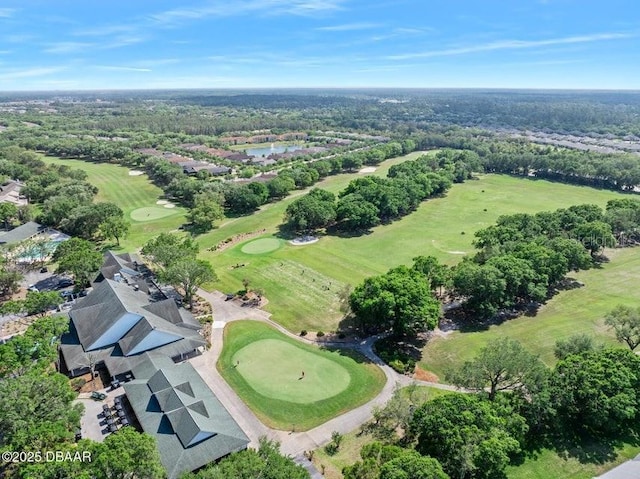 3132 Connemara Dr, Ormond Beach, FL 32174 - bird's eye view of a local golf course