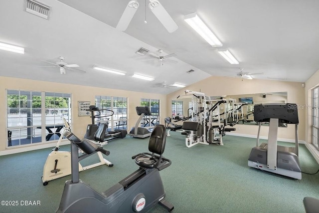 3132 Connemara Dr, Ormond Beach, FL 32174 - gym with a ceiling fan, healthy amount of natural light, and lofted ceiling