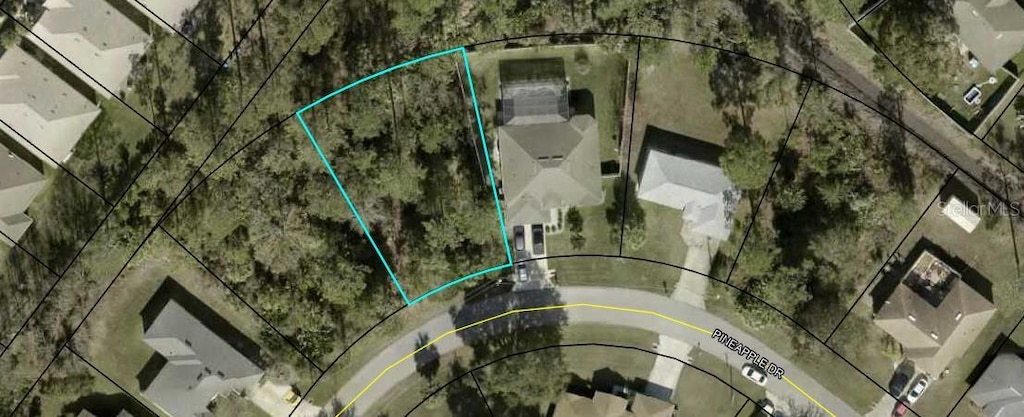 13 Pineapple Dr, Palm Coast, FL 32164