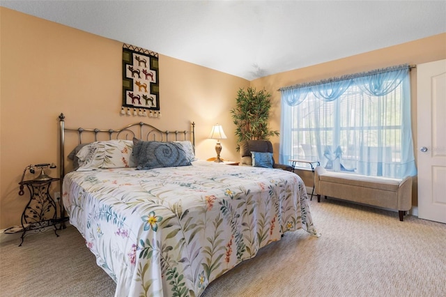 5 Senora Ct, Palm Coast, FL 32164 - view of carpeted bedroom