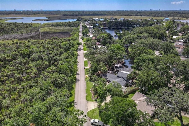 1108 Shockney Dr, Ormond Beach, FL 32174 - view of property location featuring a large body of water and nearby suburban area