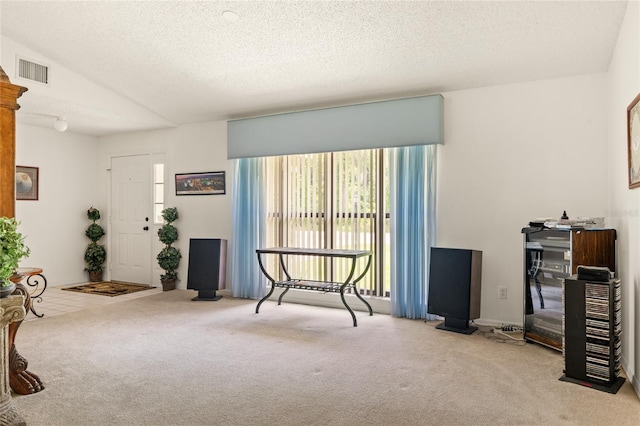 1 Ryberry Pl, Palm Coast, FL 32164 - sitting room featuring carpet and a textured ceiling