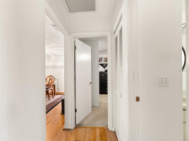 1 Ryberry Pl, Palm Coast, FL 32164 - hall featuring light wood-style flooring