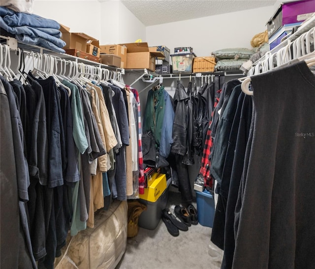 1 Ryberry Pl, Palm Coast, FL 32164 - walk in closet with carpet
