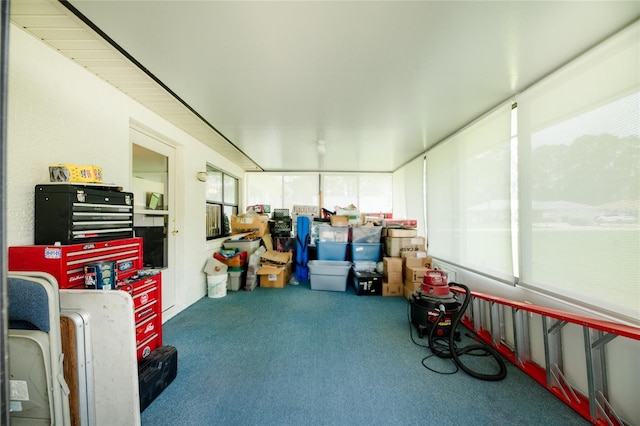 1 Ryberry Pl, Palm Coast, FL 32164 - sunroom / solarium featuring carpet floors