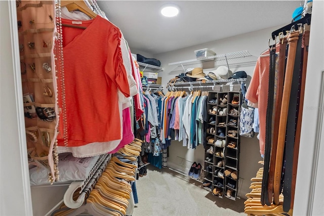 1254 Royal Pointe Ln, Ormond Beach, FL 32174 - walk in closet featuring carpet flooring