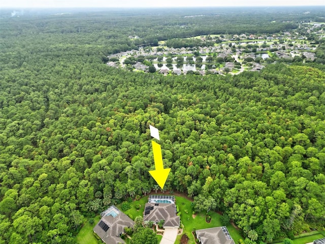 1254 Royal Pointe Ln, Ormond Beach, FL 32174 - bird's eye view of a heavily wooded area