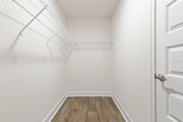 18 Slipper Orchid Trl E, Palm Coast, FL 32164 - walk in closet with dark wood-type flooring