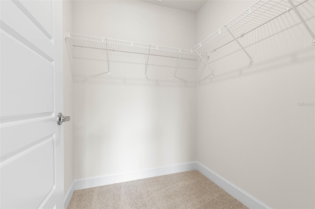 18 Slipper Orchid Trl E, Palm Coast, FL 32164 - walk in closet with carpet floors