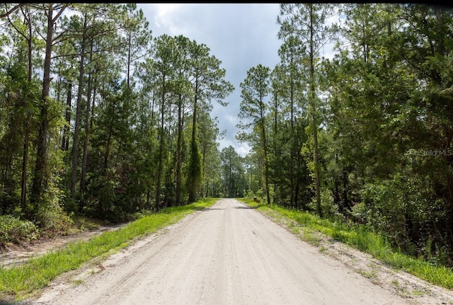 5661 Ironwood Ave, Bunnell, FL 32110