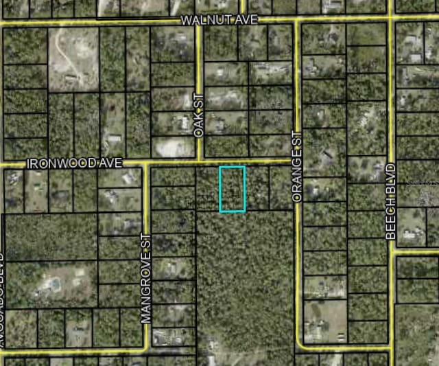 5661 Ironwood Ave, Bunnell, FL 32110