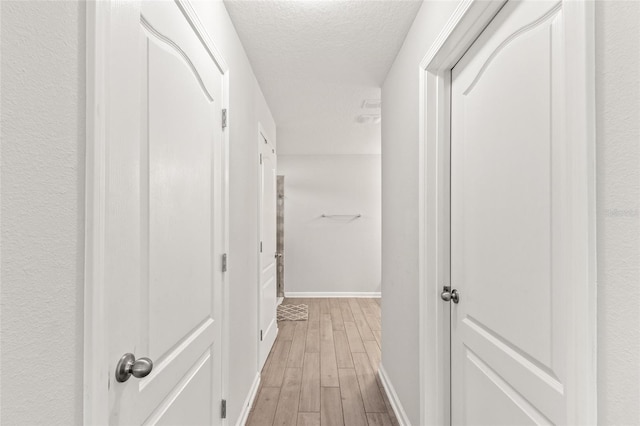 392 S Hamilton Springs Rd, Saint Augustine, FL 32084 - hall featuring light wood-style flooring and a textured ceiling