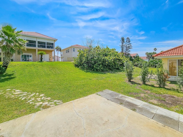 1528 N Daytona Ave, Flagler Beach, FL 32136 - view of green lawn