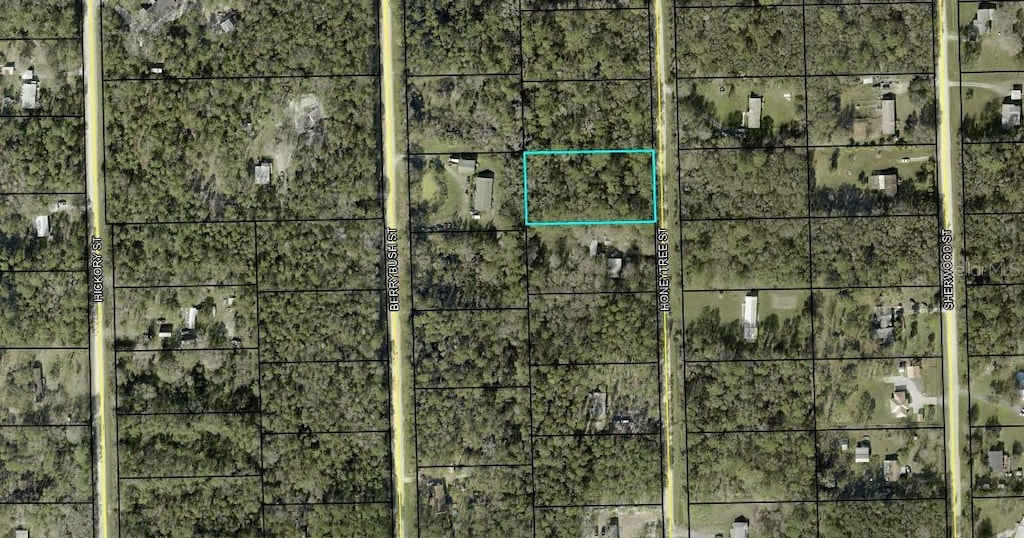 1230 Honeytree St, Bunnell, FL 32110