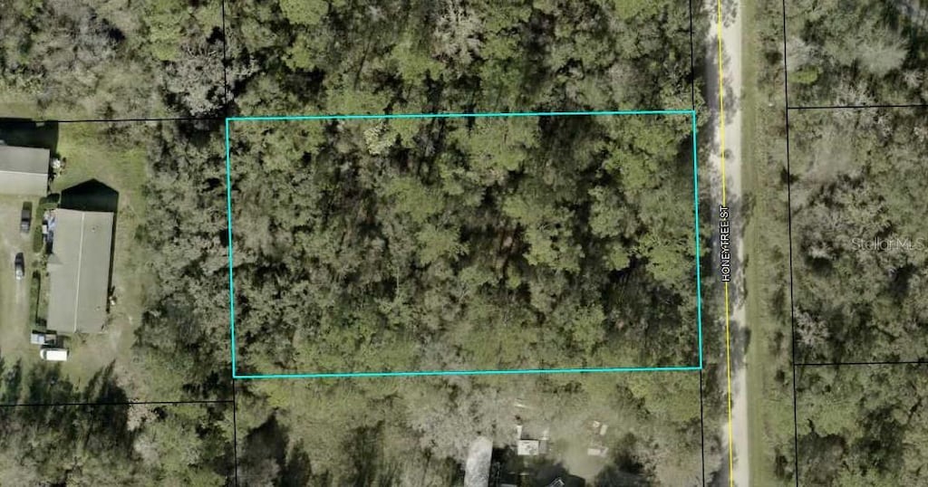 1230 Honeytree St, Bunnell, FL 32110