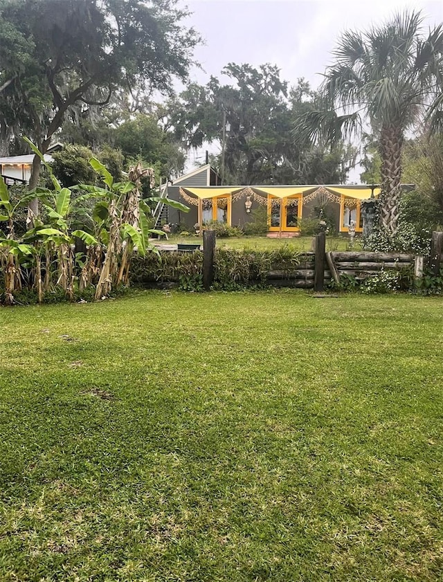 603 Front St, Welaka, FL 32193 - view of grassy yard